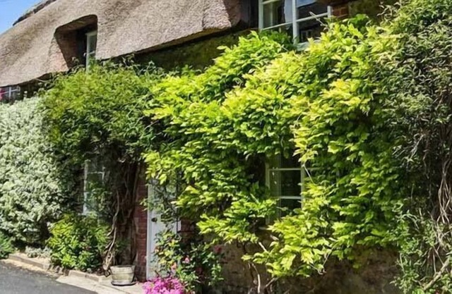 Pequeña paja, CERNE ABBAS
