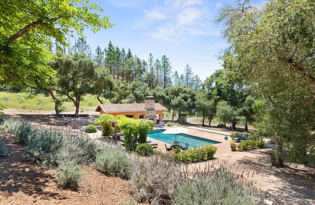 Locanda Winery estate with Olympic-size pool & Starlink WiFi - dog-friendly