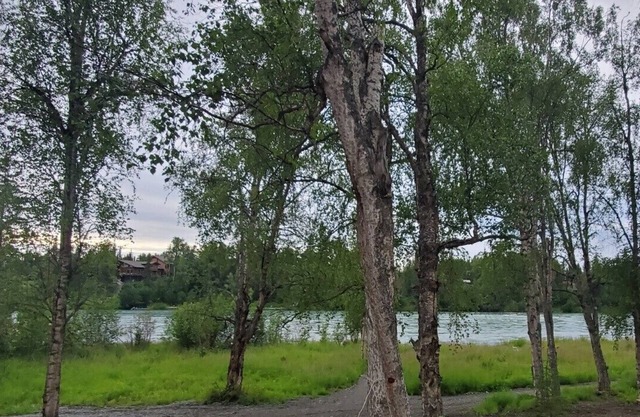 LOCATED ON THE KENAI RIVER!! Kenai River Haven Unit #2.