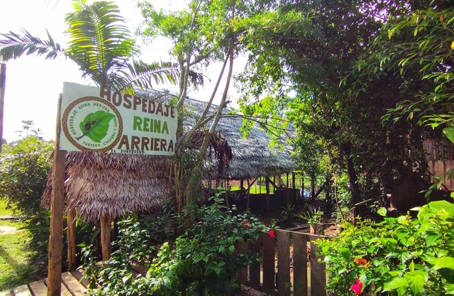Hospedaje y tours reina arriera Amazonas Colombia