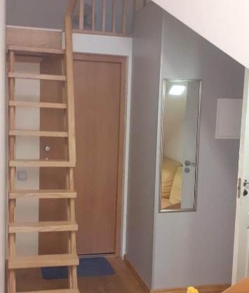 Loft style apartments in Kaunas center