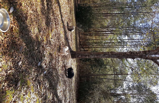 Alquiler de lote para Camper!