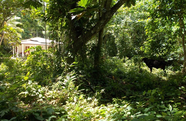 Encantadora casa de campo en alquiler