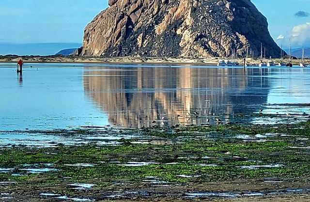 Cómoda casa grande de 4 dormitorios con. 15 minutos a la hermosa playa de Pismo