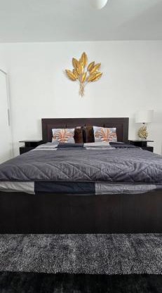 Lux Apartment Drumul Taberei
