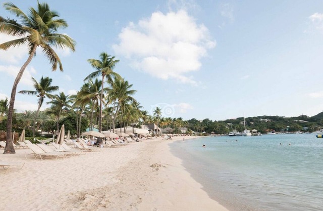 Luxury 2 BR Coral Vista Villa - Westin St John