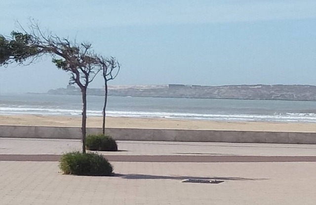 APARTAMENTO DE LUJO FRENTE A LA PLAYA