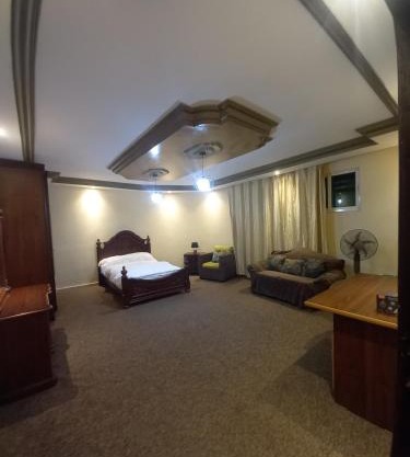 Luxury furnished apartment for rent - شقة فاخرة مفروشة للإيجار