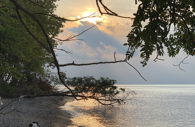 Lujosa casa frente al lago con playa privada