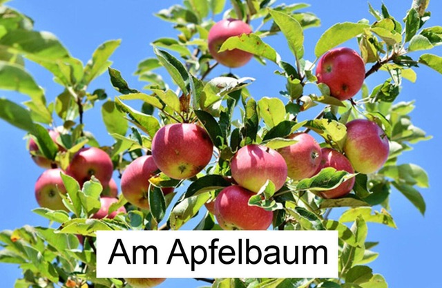 Müritz Apartment Am Apfelbaum