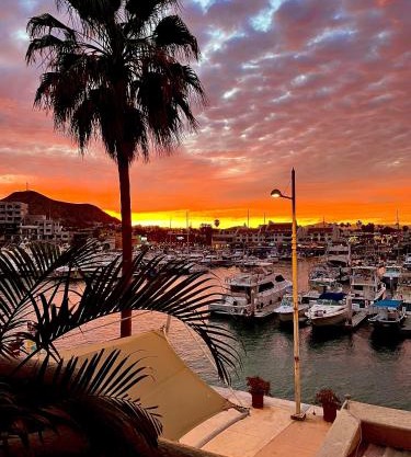 Marina Cabo Plaza