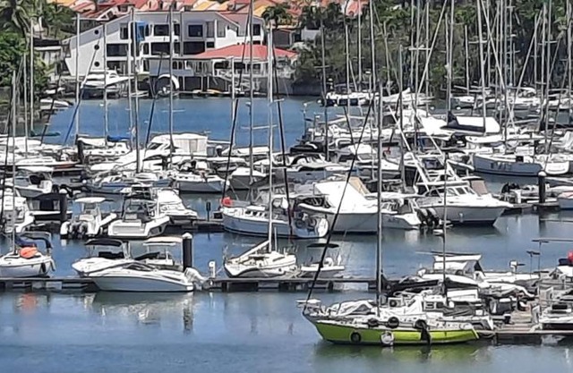 Marina Gardens