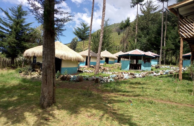 Campamento Maverick, Rondavels y Homestay