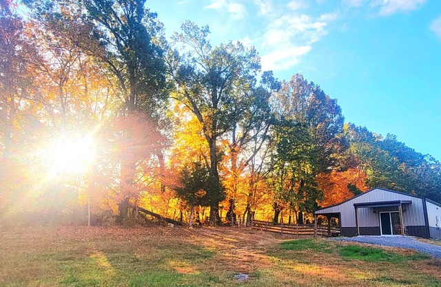 Meadow Wood Cottage Peaceful, Relaxing Luxury in the Country