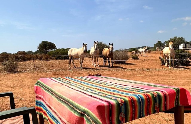 Caravana Michas para 2 Vea la manada de caballos desde su cama