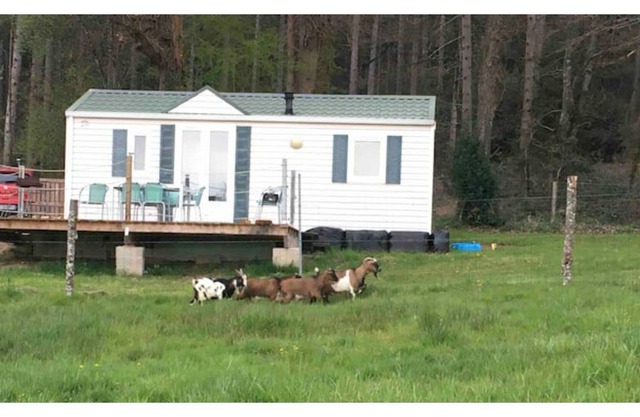 Mobile home in ANIMAL PARK in Aveyron