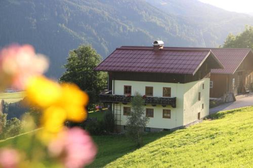 Molteraugut