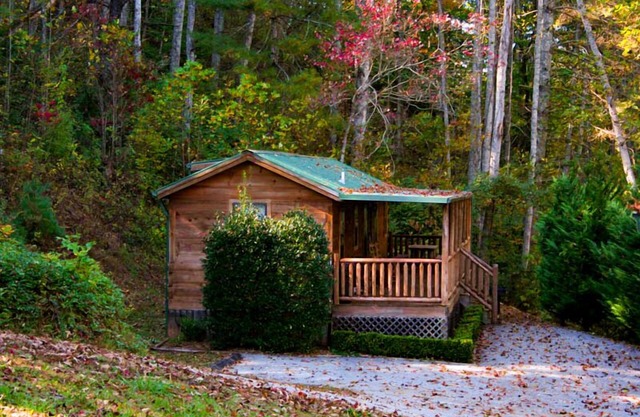 Alquiler de cabañas Big Bear 2 BD / 1 cabaña BA Moose - Cerca de la ciudad, tranquilo, con vistas al bosque