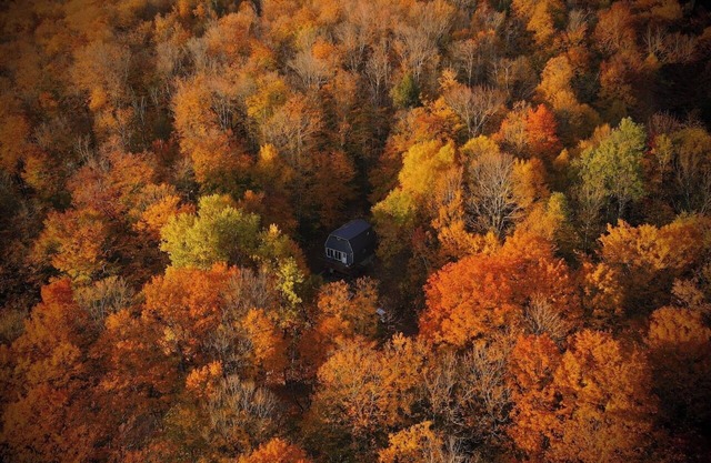 Mandy's Mountain Chalet minutes from Mount Snow,