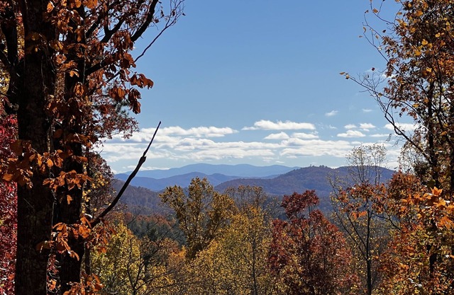 🪵 Murphy Cabin 🏔 Mountain View / 2Bed-2Bath / 6 guests / 10mins to town