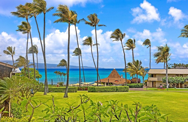 Napili Shores G258 Studio Condo Condo