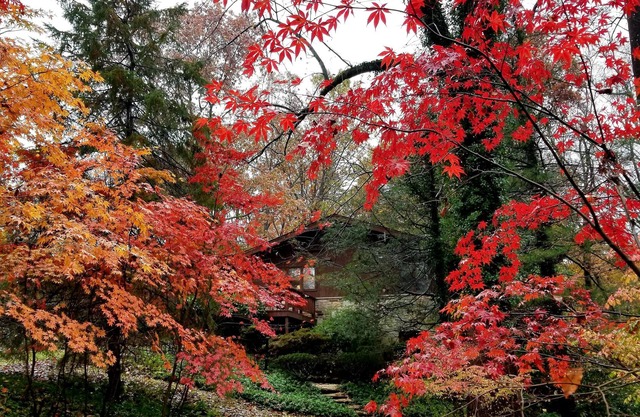 CHALET DE SUEÑOS PARA LOS AMANTES DE LA NATURALEZA - TOWSON