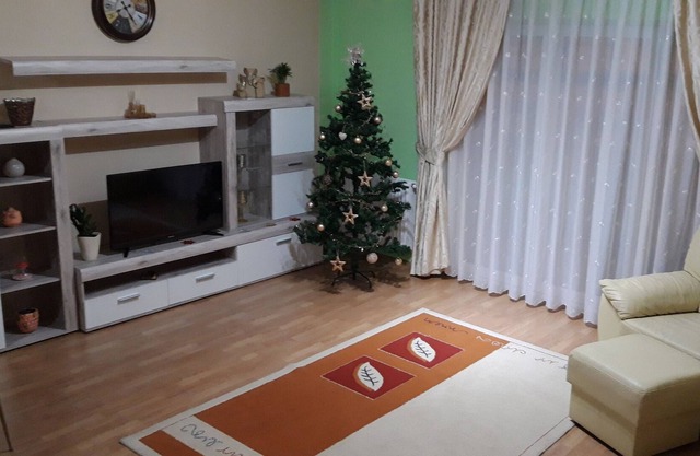 Neumarkt Apartment Targu Mures