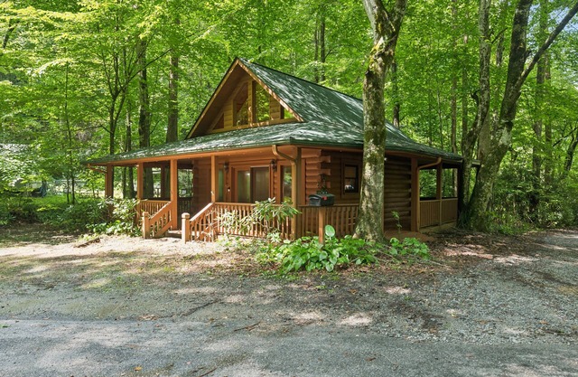 NEW! Cozy Creekside Cabin with Wraparound Porch