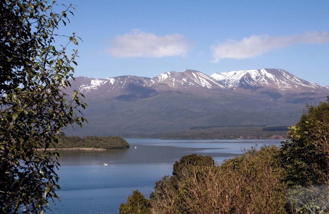 Nueva White Water Lodge 二 Turangi