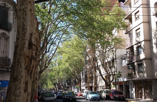 Bonito Apartamento 344ft² / 32m² 1br Almagro (CABA - Almagro)