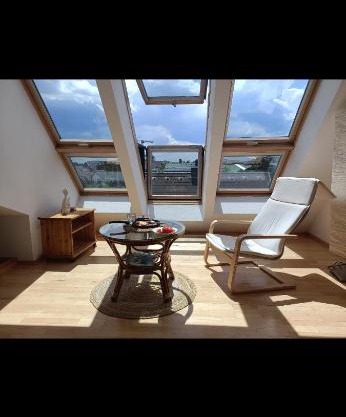Nice Room in a Sunny appartement