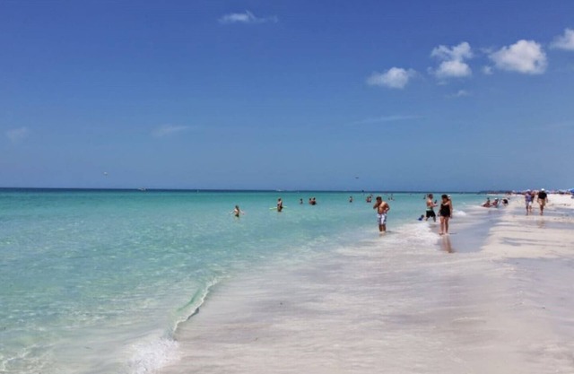 Precioso estudio cerca de la isla Anna Maria, Academia IMG, centro comercial UTC, Lecom Park
