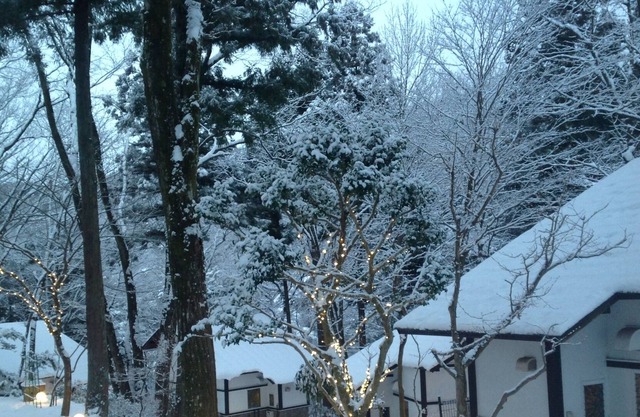 Nikko / Cottage / 100MinFromCity / NearStation