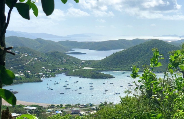 Apto para la Bahía de Coral, respetuoso con el medio ambiente, vista al agua y excelente ubicación para una pareja, soltero