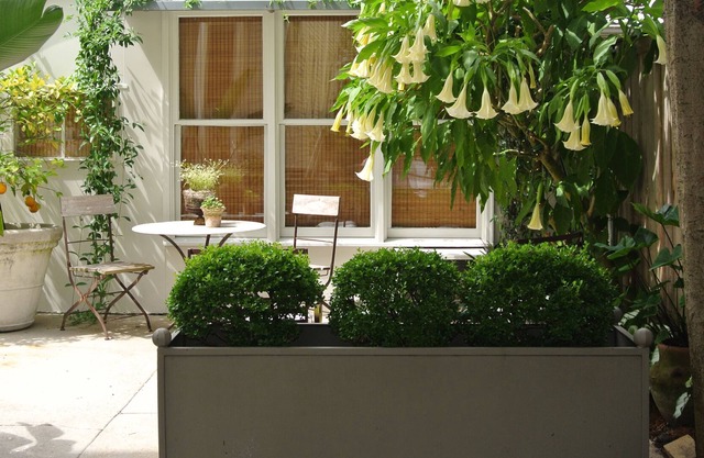 Nola Cottage - Caja fuerte, zona conveniente / Capacidad 3 / Brand New Bath / Walk To Tulane