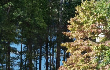 NORTHLAKE CAPTAIN'S QUARTERS has 3 bedrooms and 2 full baths to accommodate 6.