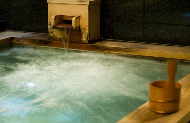 Ochanomizu Hotel Shoryukan