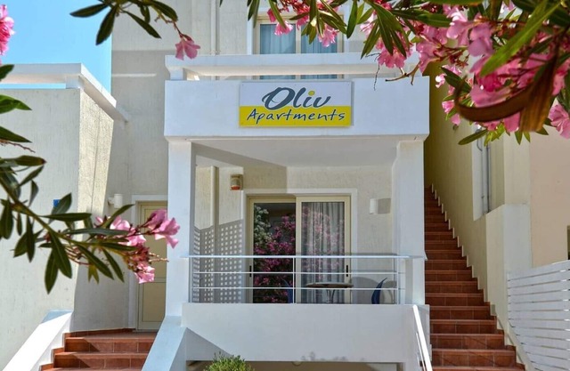 Oliv Apartments Zoi * 1bd superior