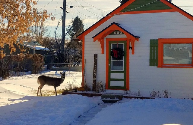 Cabaña de Oma con sauna de infrarrojos en Red Lodge Montana