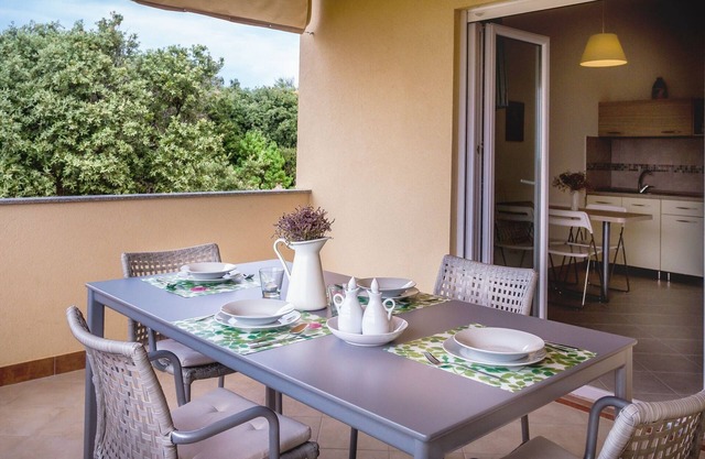 Apartamento de una habitación con una terraza Mandre, Pag (A-6516-c)