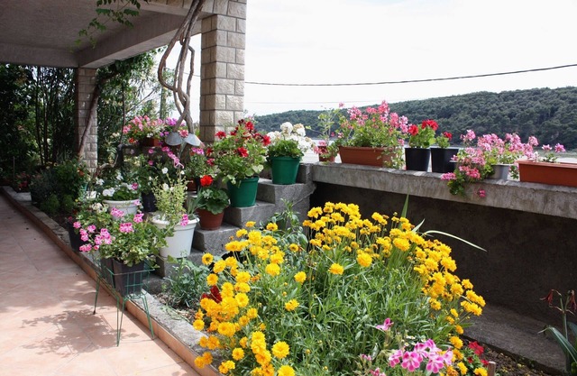 Apartamento de una habitación con terraza y vista al mar Kampor, Rab (A-4984-b)