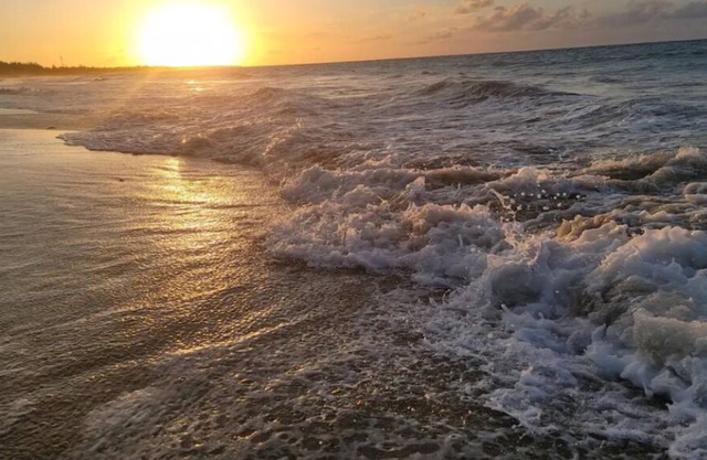 P.R. Beach condo - gated community 2 min walk to private beach!