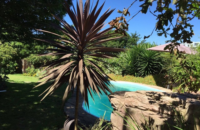 Paraíso del Alma