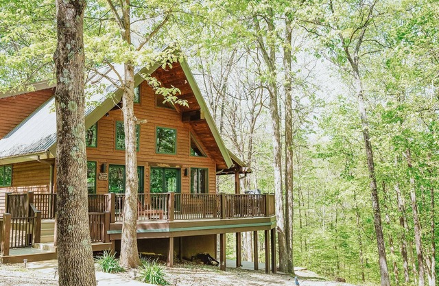 Paradise View Lodge ubicado cerca del lago Lemon, trae a toda la familia!