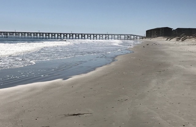 Pawleys Island, Beach ,Family ,Business , Pet Friendly Home