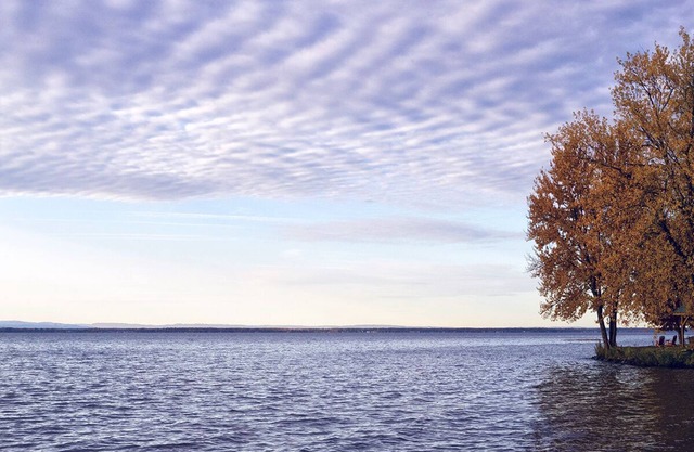 ¡Campamento en el lago Oneida!