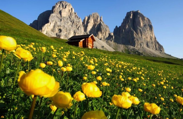 Apartamento Pederiva (SOF743) en Soraga di Fassa - 4 personas, 2 dormitorios