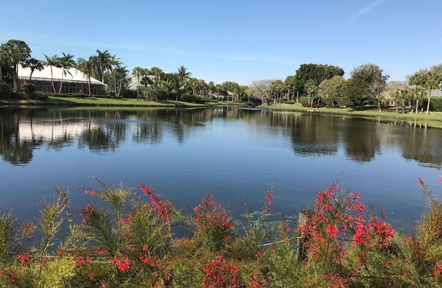 DISPONIBLE 1/2020! CONDOMINIO DE LUJO BAHÍA PELICANA, REFORMADO, CON VISTA AL LAGO!