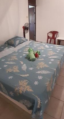 Penu Maurua 2
