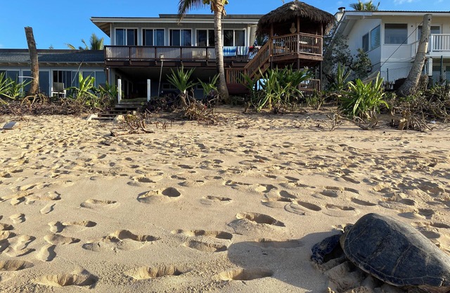 PERFECT LOCATION BEACH FRONT INQUIRE special discounts reduced rates for march
